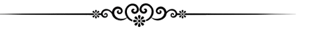 Ornate floral scroll horizontal page divider. Halem